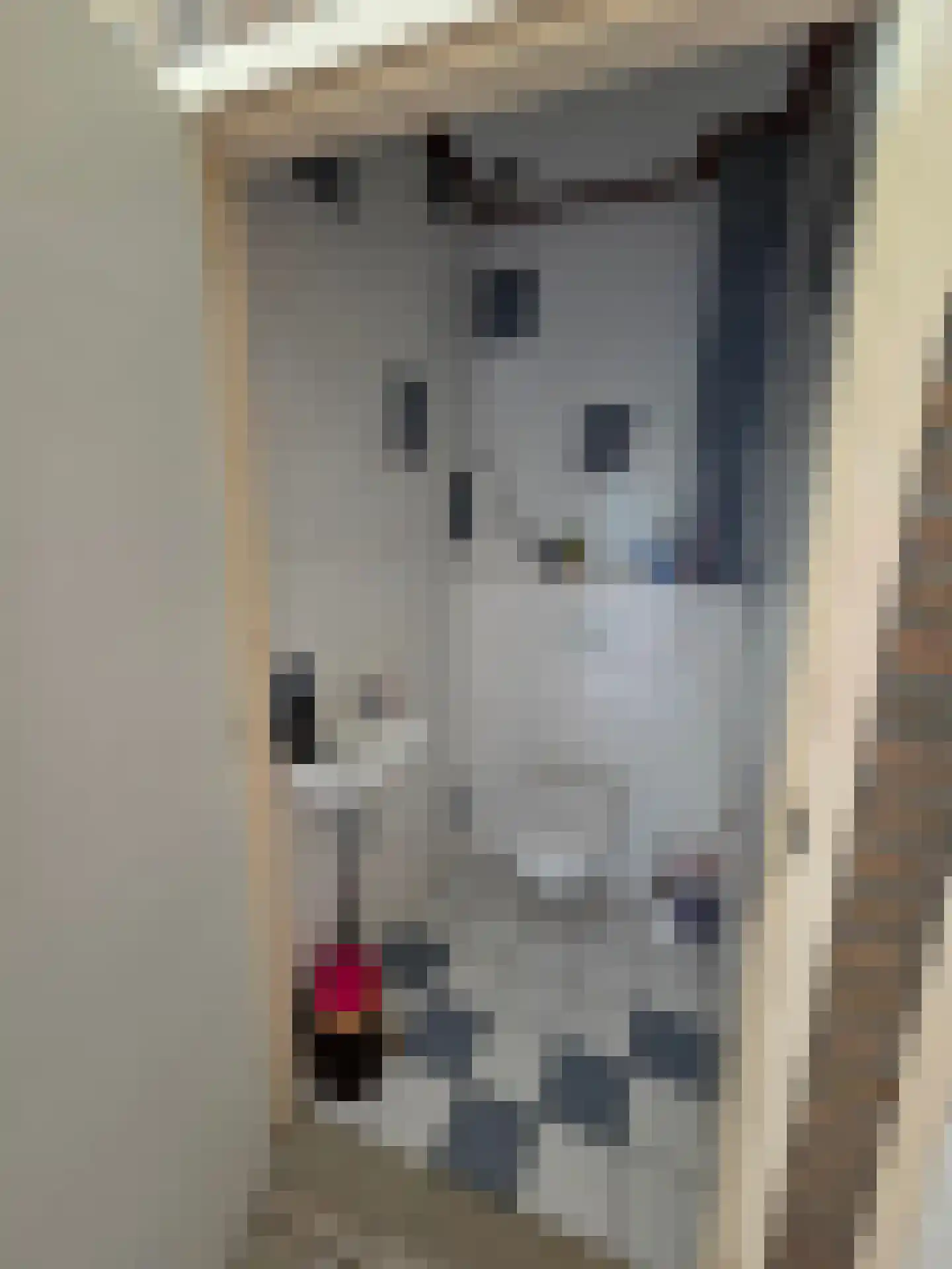 Eendekotsweg 1 Gapinge thumbnail 24