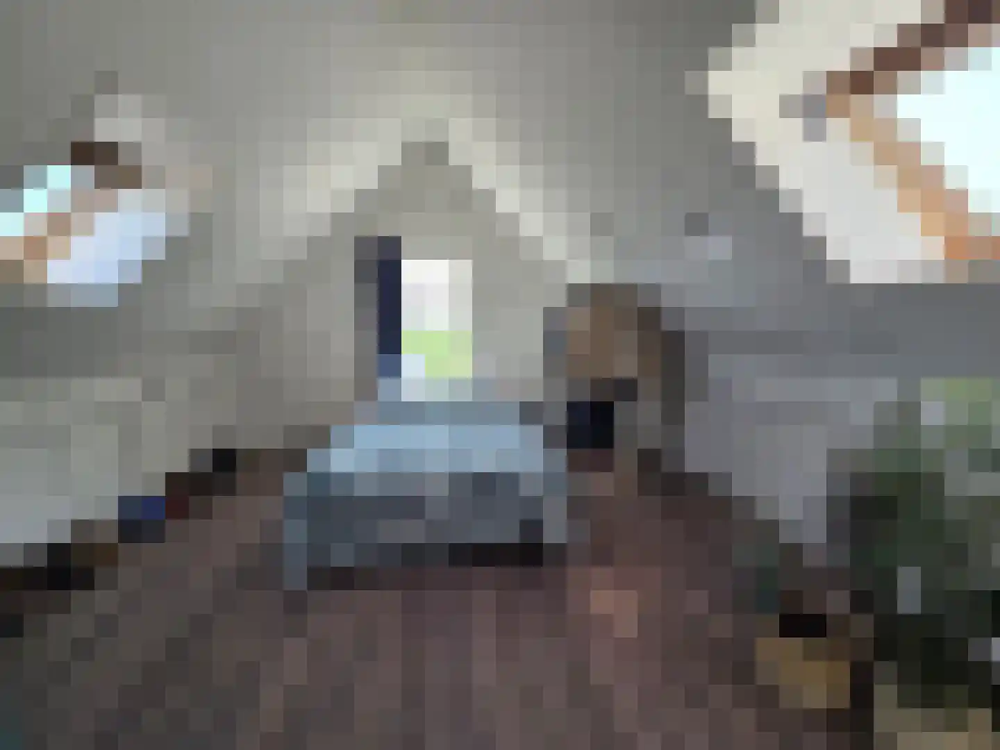 Eendekotsweg 1 Gapinge thumbnail 26