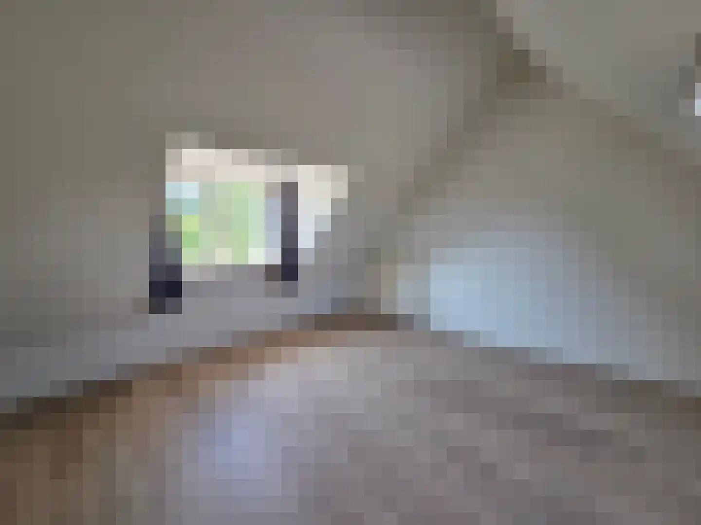 Eendekotsweg 1 Gapinge thumbnail 28