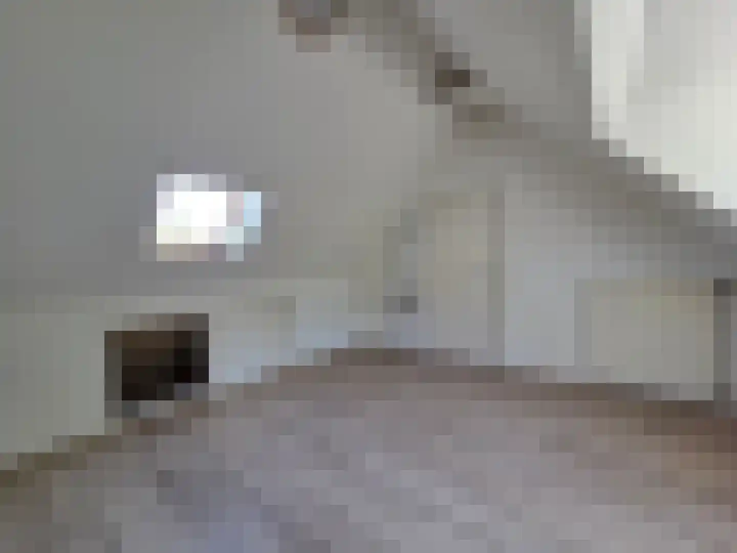 Eendekotsweg 1 Gapinge thumbnail 29