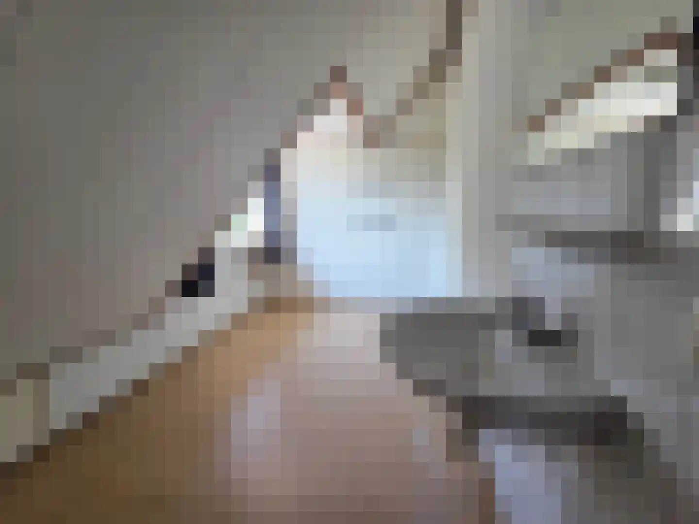 Eendekotsweg 1 Gapinge thumbnail 30