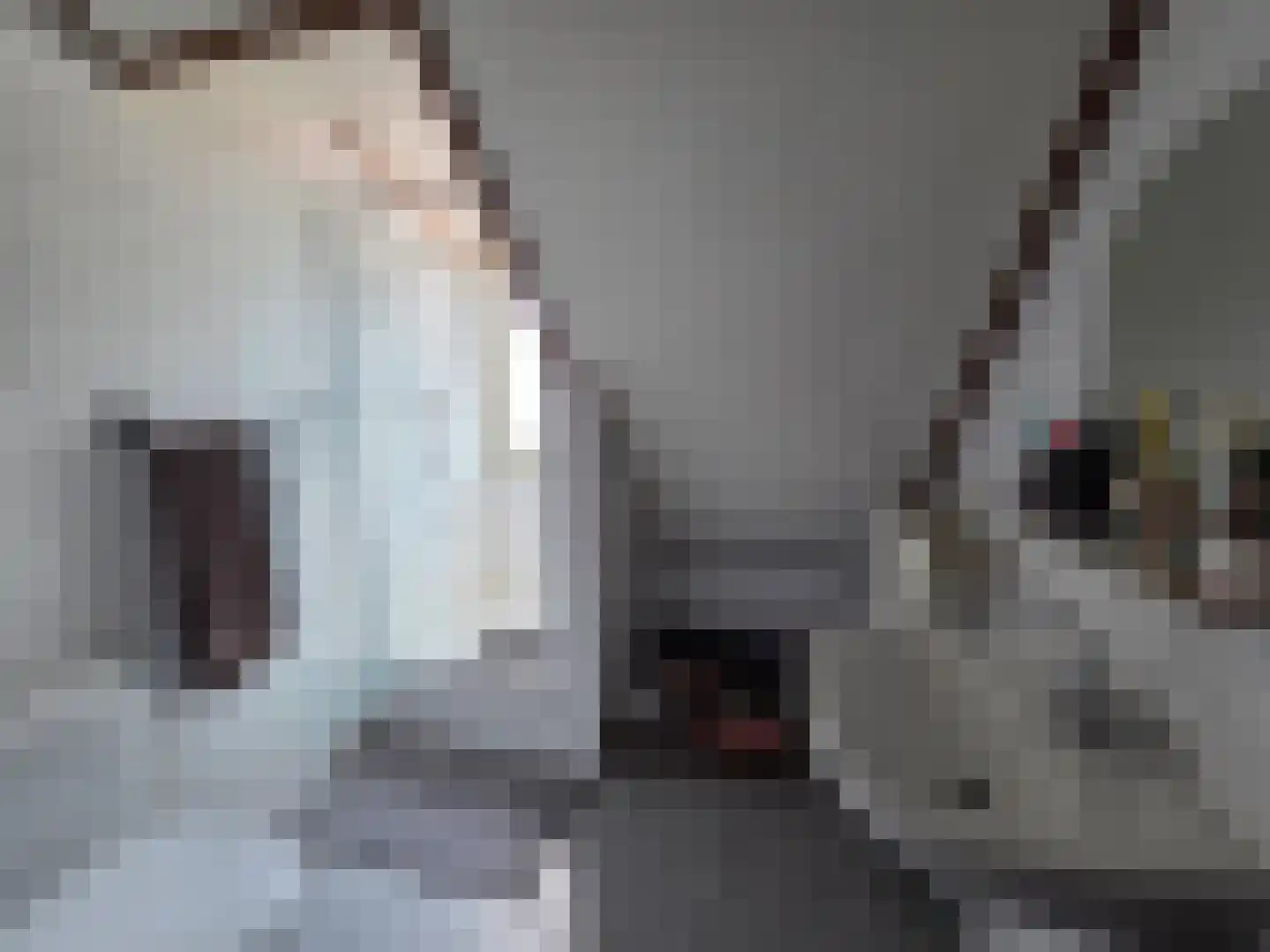 Eendekotsweg 1 Gapinge thumbnail 31
