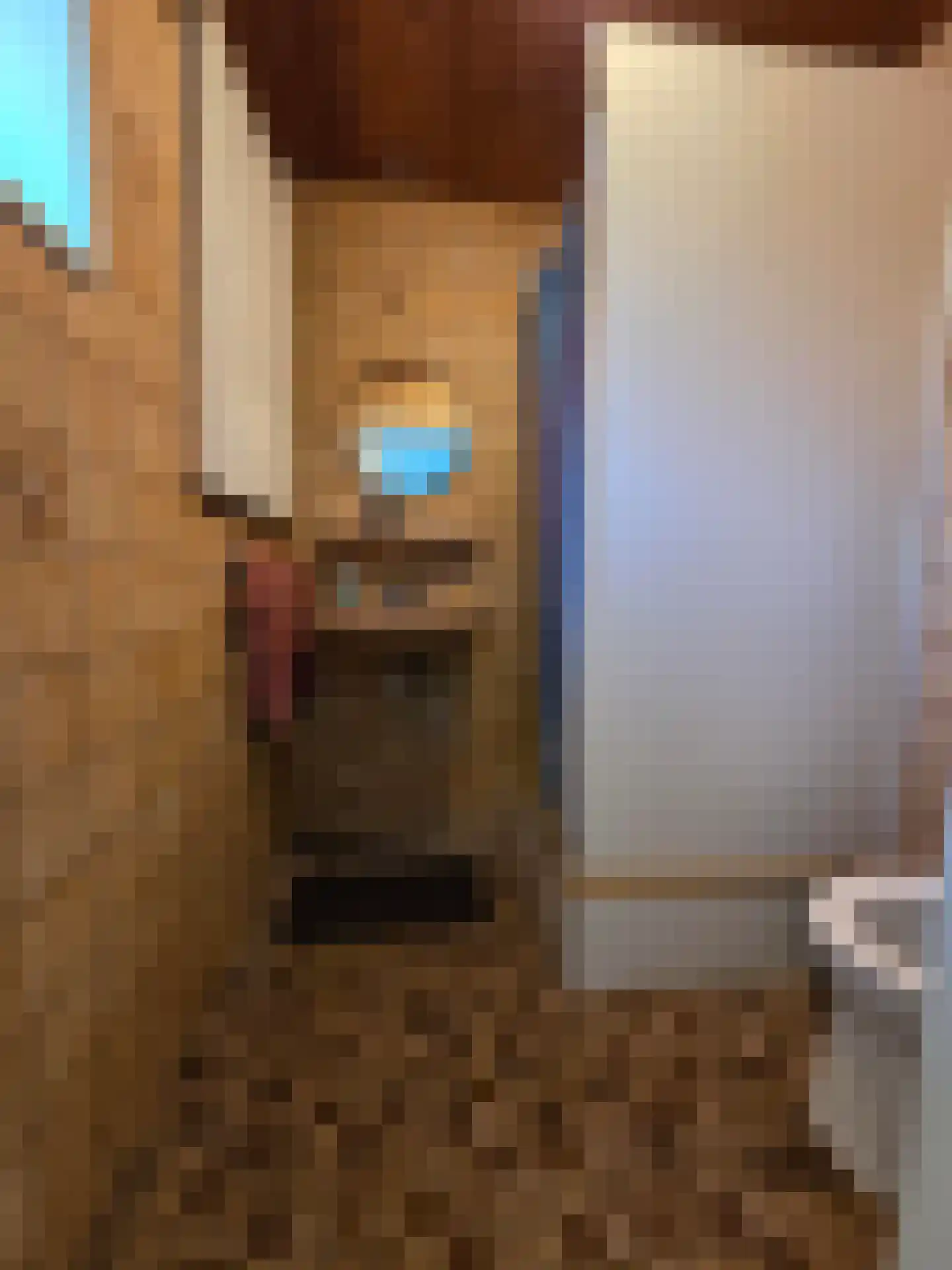 Eendekotsweg 1 Gapinge thumbnail 39