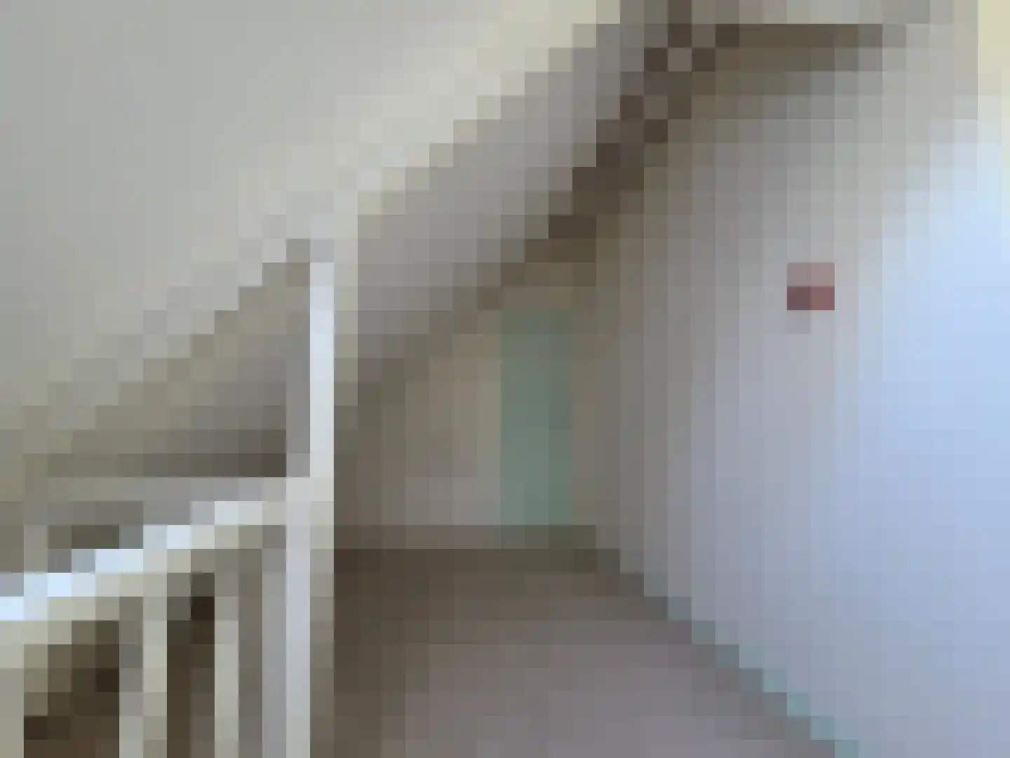Eendekotsweg 1 Gapinge thumbnail 40