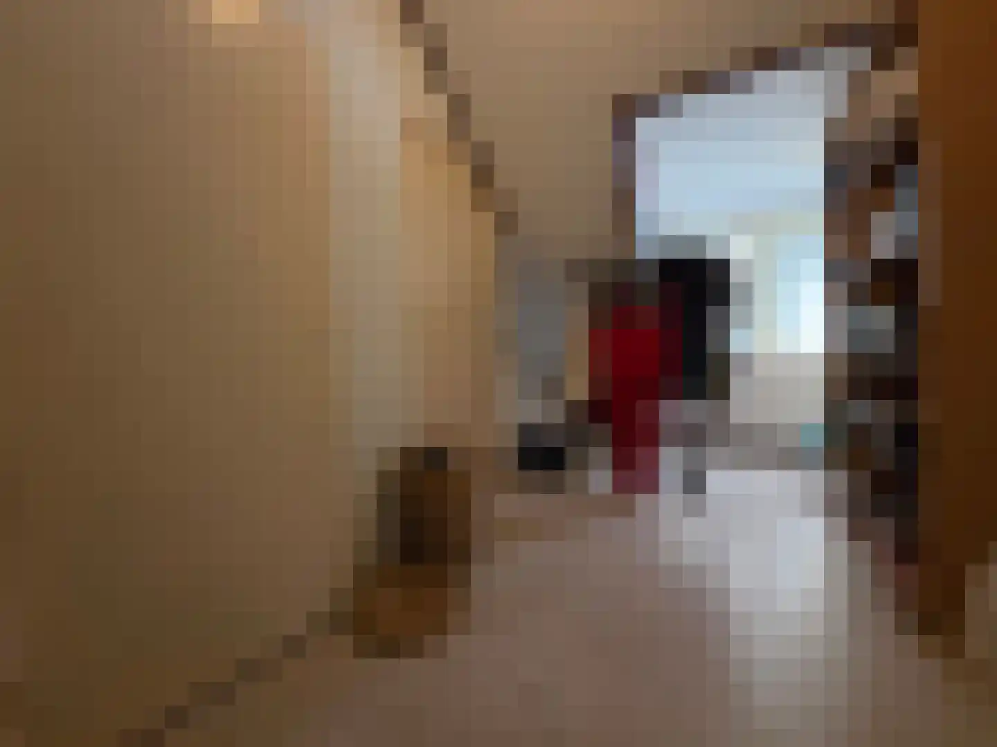 Eendekotsweg 1 Gapinge thumbnail 42