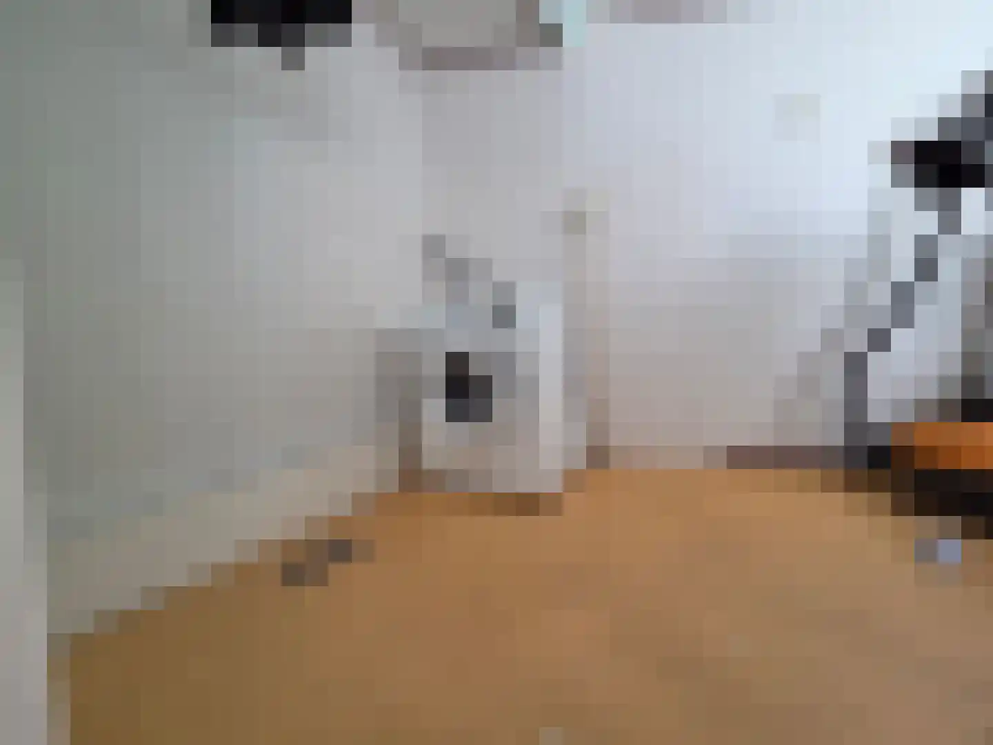 Eendekotsweg 1 Gapinge thumbnail 43