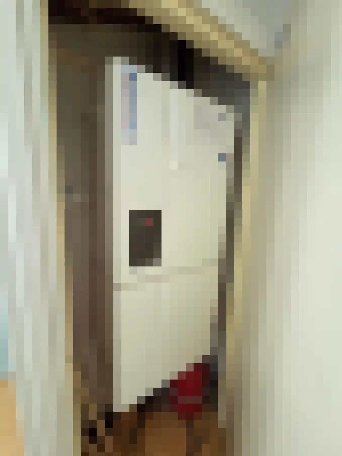 Eendekotsweg 1 Gapinge thumbnail 44