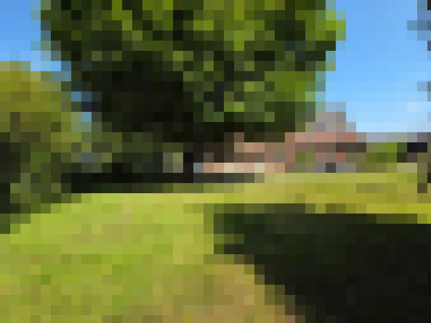 Eendekotsweg 1 Gapinge thumbnail 45