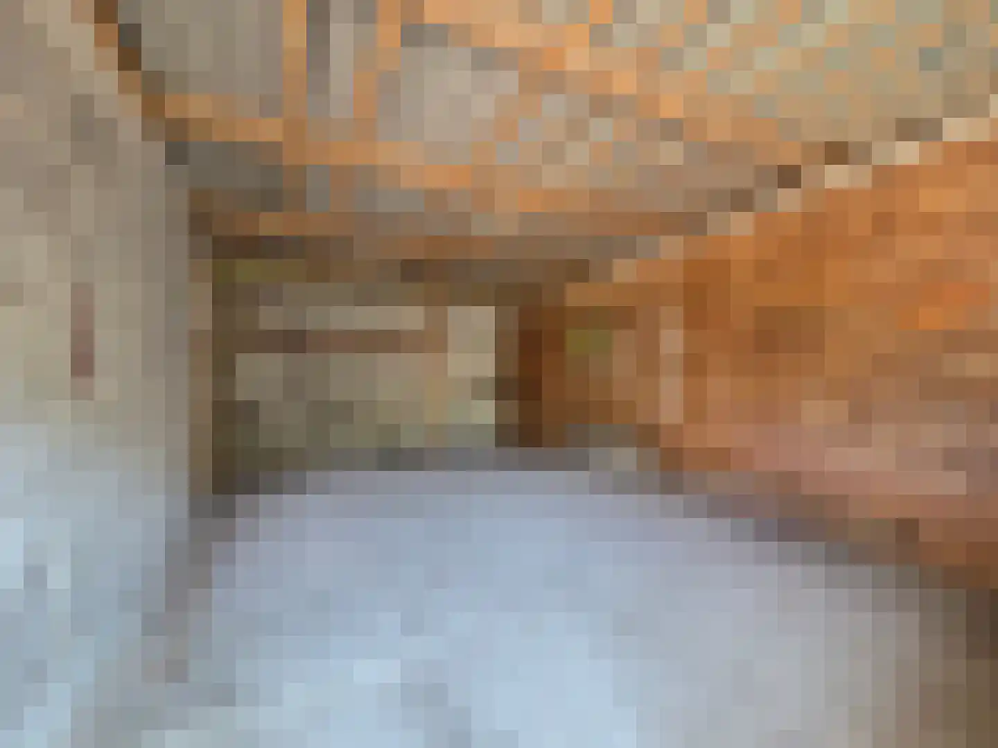 Eendekotsweg 1 Gapinge thumbnail 50