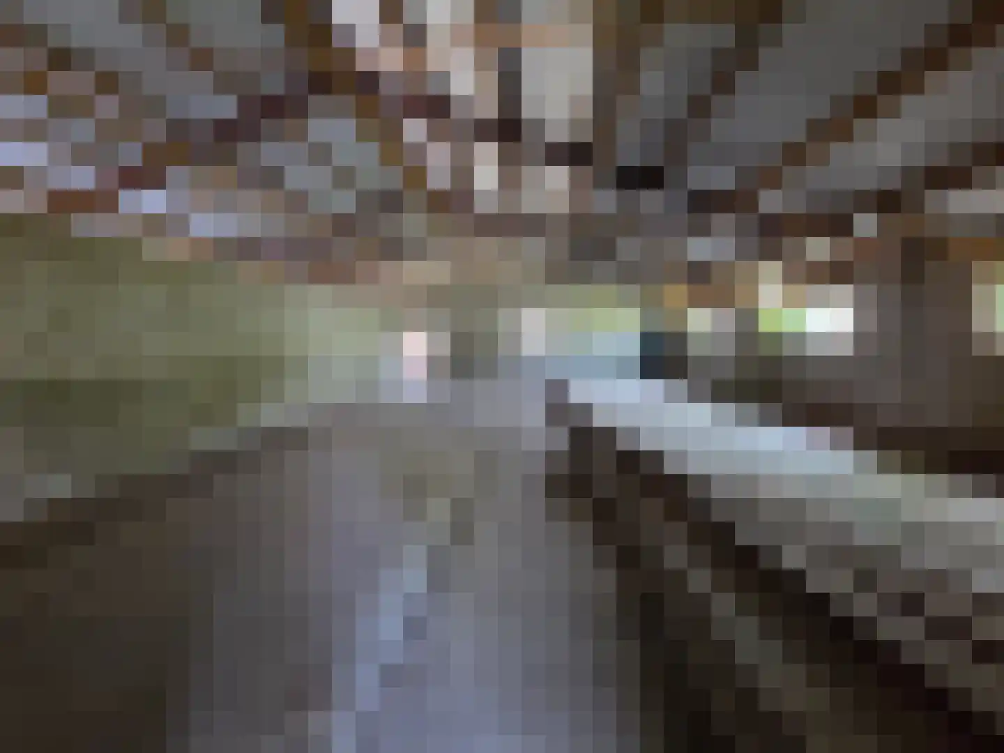 Eendekotsweg 1 Gapinge thumbnail 55
