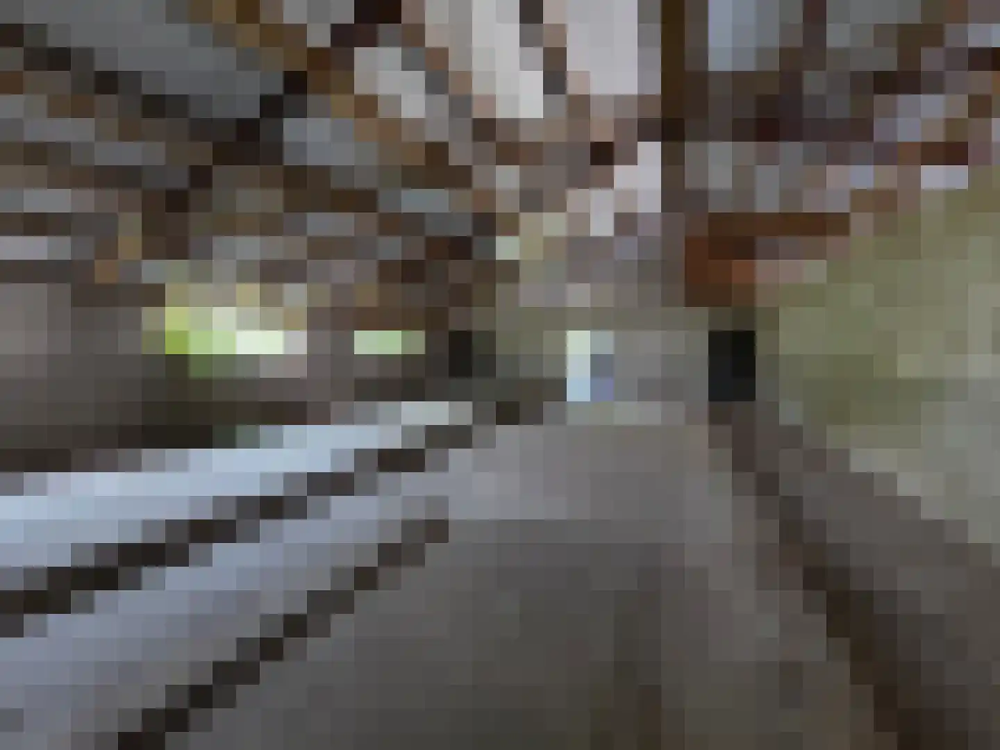 Eendekotsweg 1 Gapinge thumbnail 56