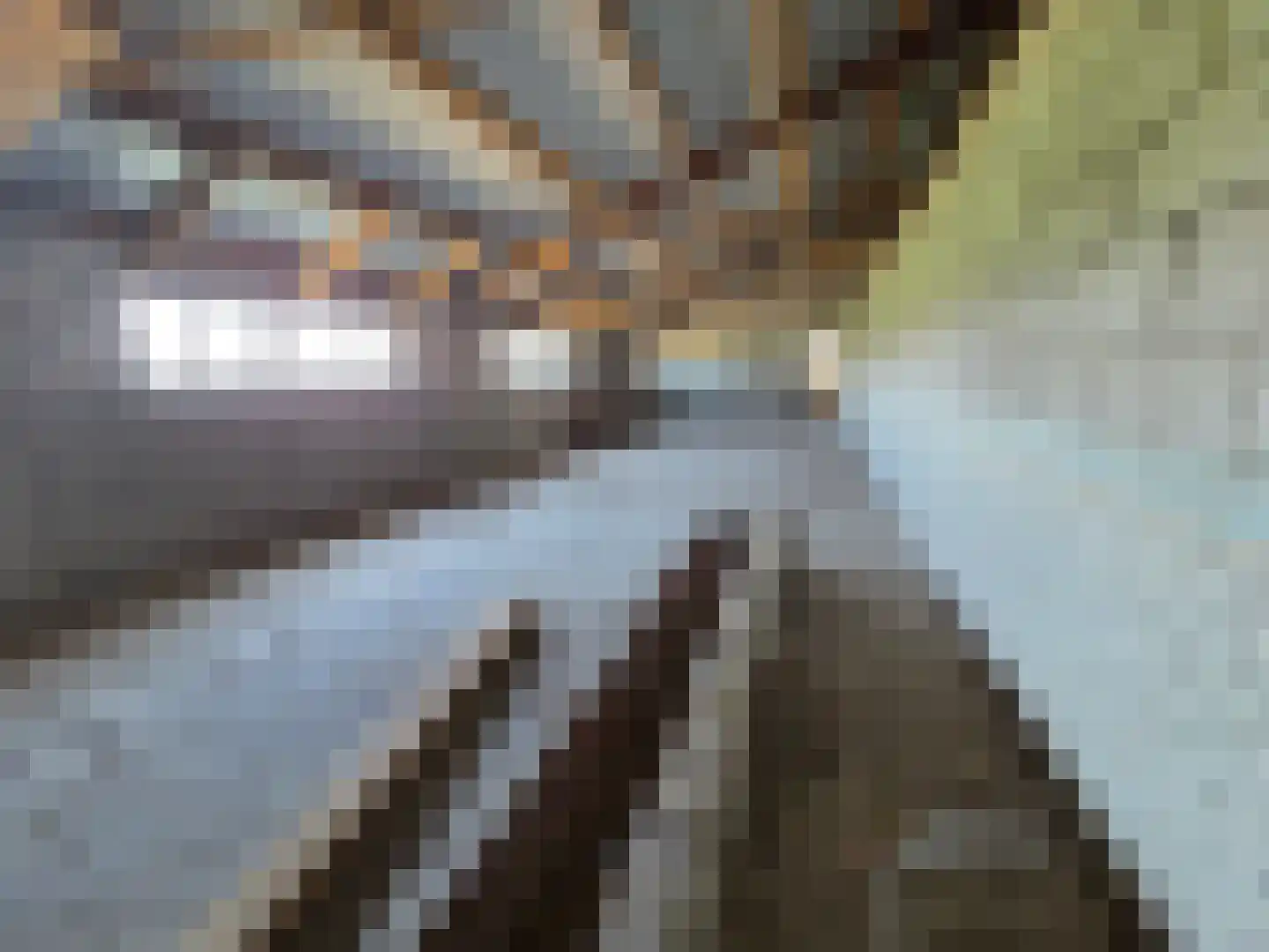 Eendekotsweg 1 Gapinge thumbnail 57