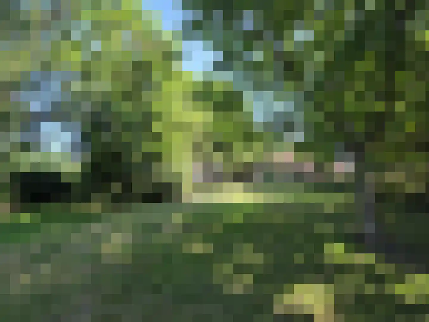 Eendekotsweg 1 Gapinge thumbnail 60