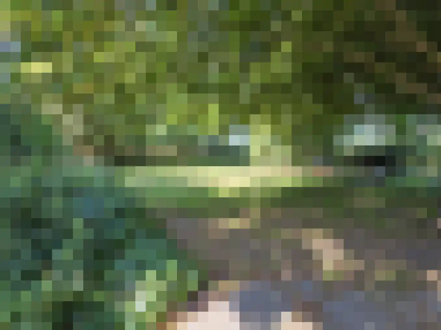Eendekotsweg 1 Gapinge thumbnail 61