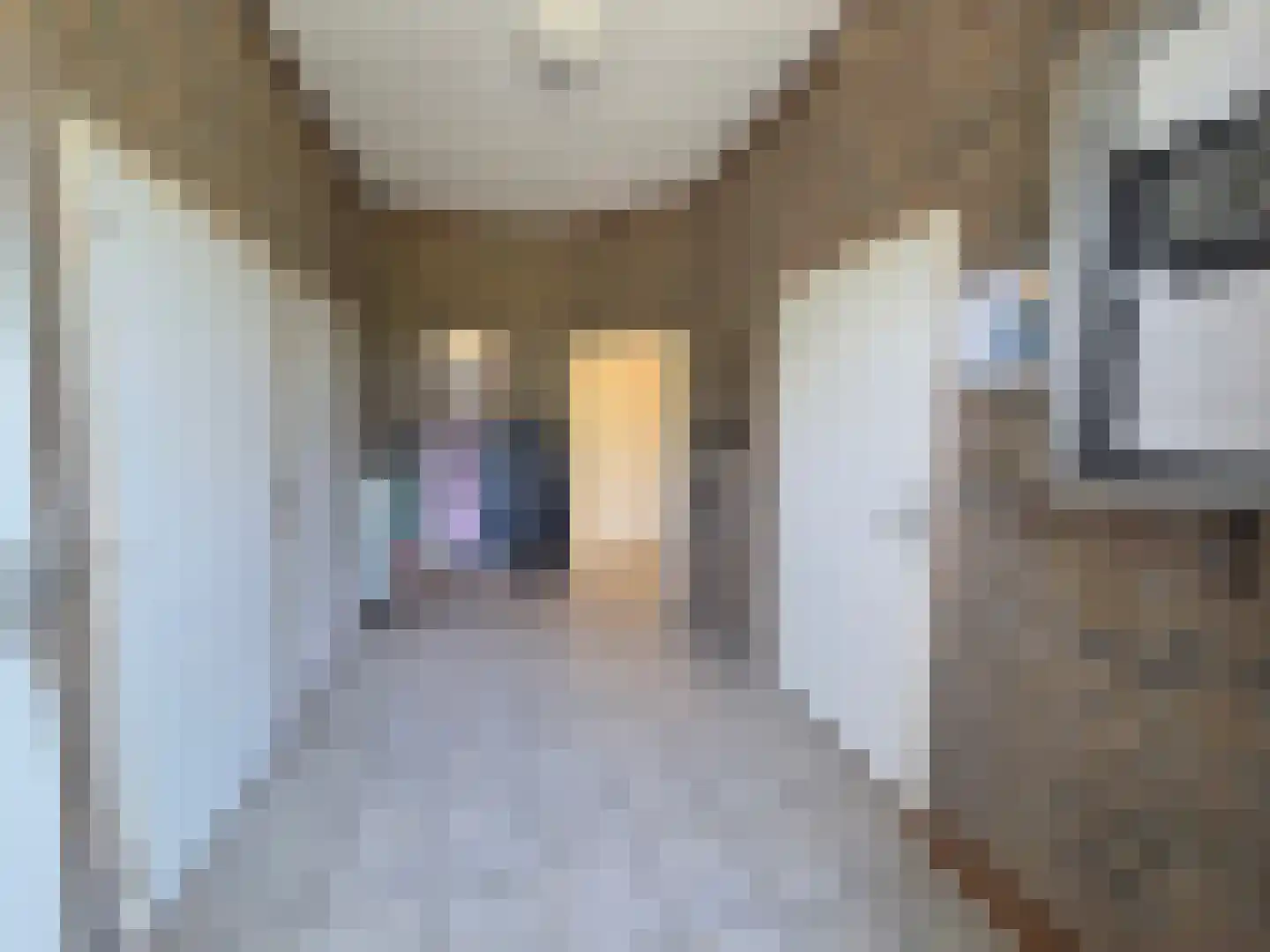 Eendekotsweg 1 Gapinge thumbnail 9