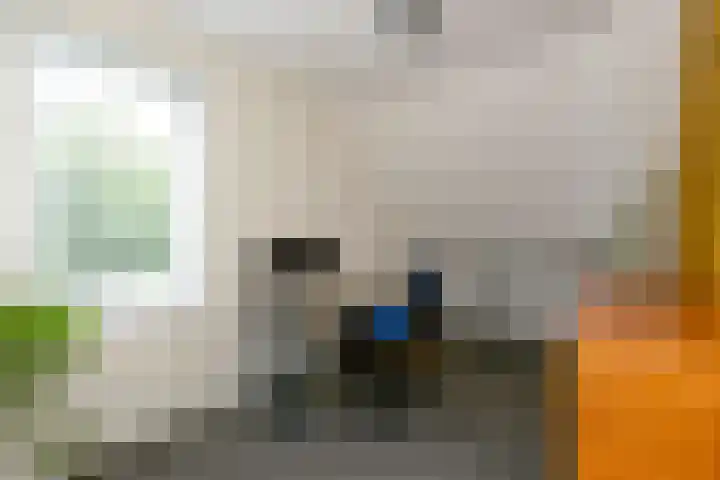 Eendekroos 100 Drachten thumbnail 30