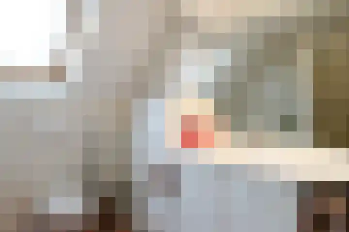 Eendekroos 100 Drachten thumbnail 33