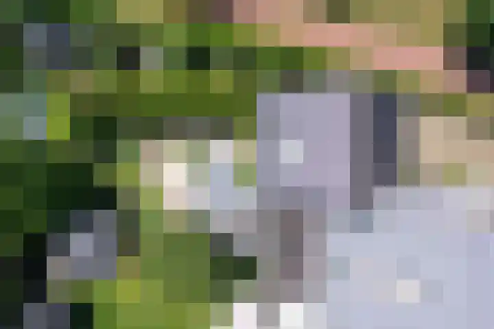 Eendekroos 100 Drachten thumbnail 49