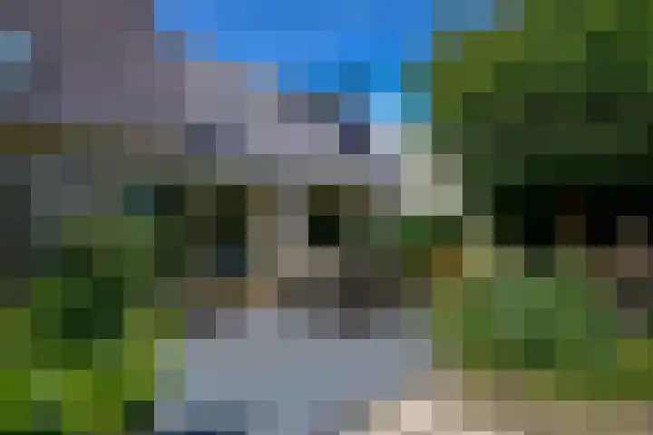 Eendekroos 100 Drachten thumbnail 50