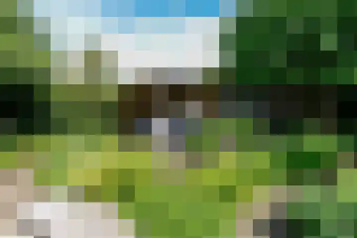 Eendekroos 100 Drachten thumbnail 55