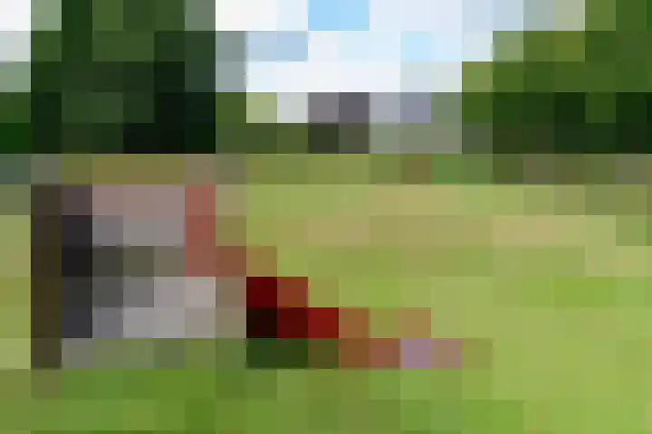 Eendekroos 100 Drachten thumbnail 65