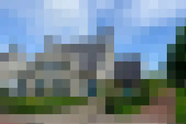 Eendekroos 100 Drachten thumbnail 68