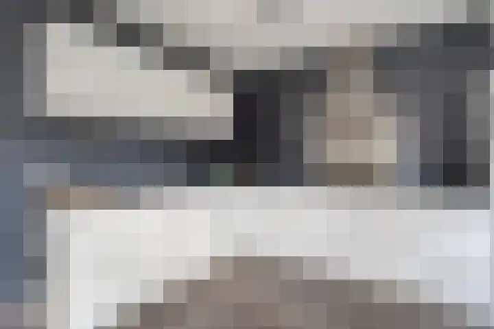 Eendekroos 24 Hardenberg thumbnail 13