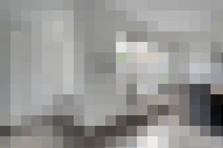 Eendekroos 24 Hardenberg thumbnail 15