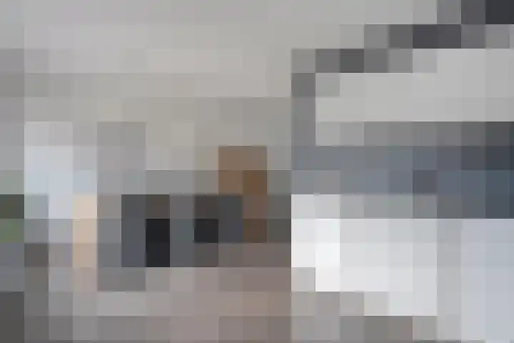 Eendekroos 24 Hardenberg thumbnail 16
