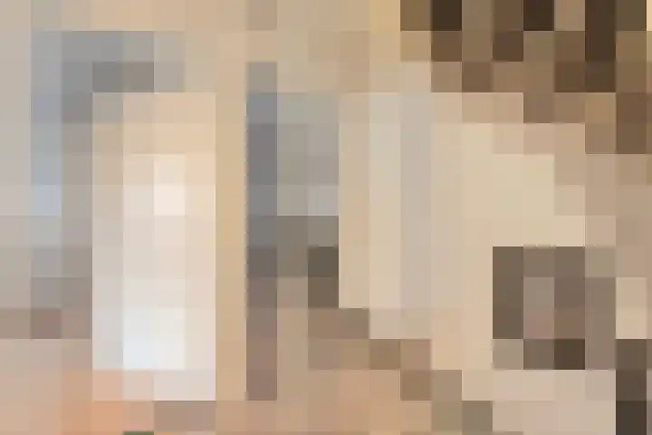 Eendekroos 24 Hardenberg thumbnail 18