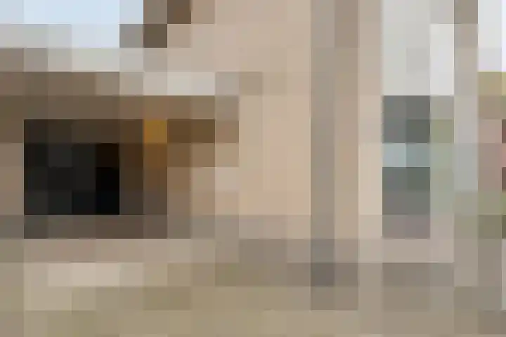 Eendekroos 24 Hardenberg foto 2