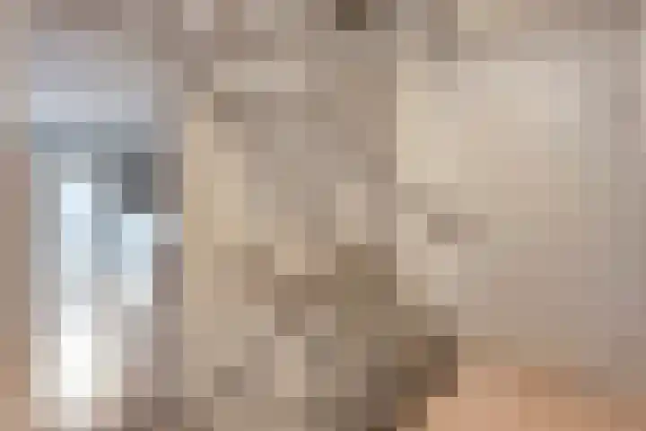 Eendekroos 24 Hardenberg thumbnail 26