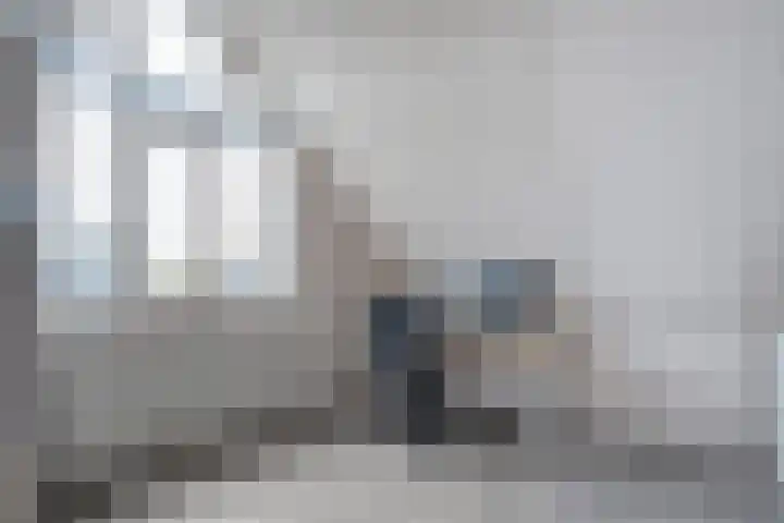 Eendekroos 24 Hardenberg thumbnail 30