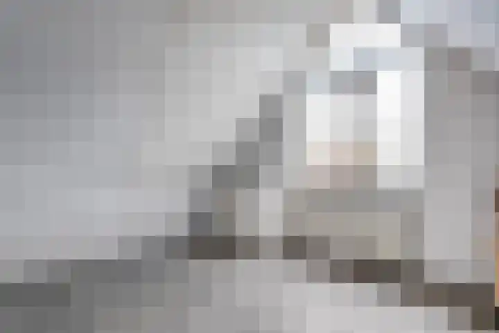 Eendekroos 24 Hardenberg thumbnail 32