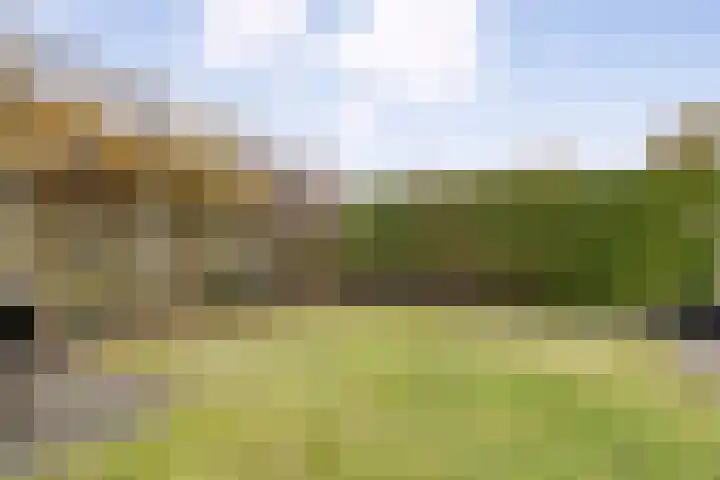 Eendekroos 24 Hardenberg thumbnail 36