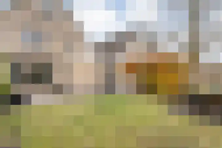 Eendekroos 24 Hardenberg thumbnail 38