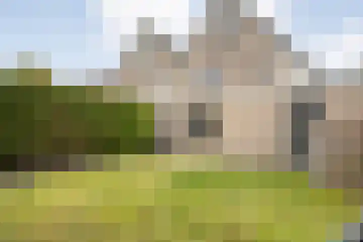Eendekroos 24 Hardenberg thumbnail 39