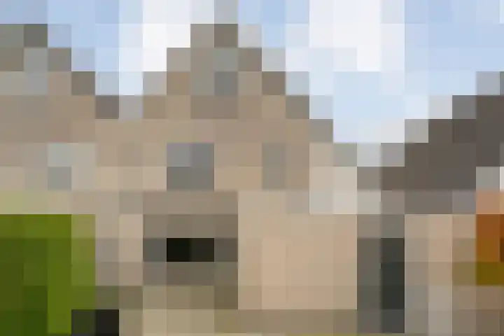 Eendekroos 24 Hardenberg thumbnail 40