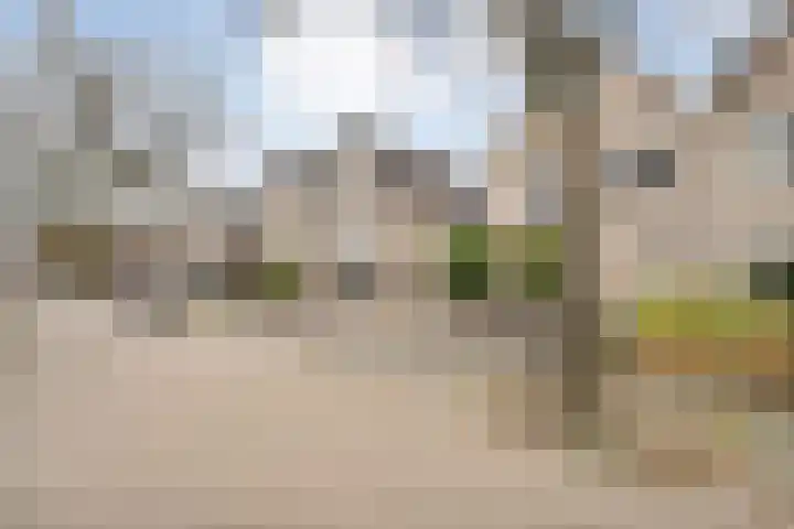 Eendekroos 24 Hardenberg thumbnail 41