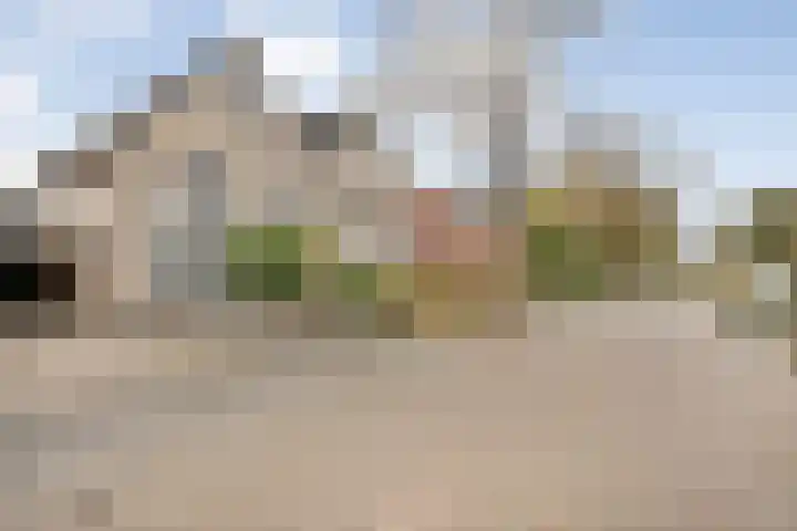 Eendekroos 24 Hardenberg thumbnail 42