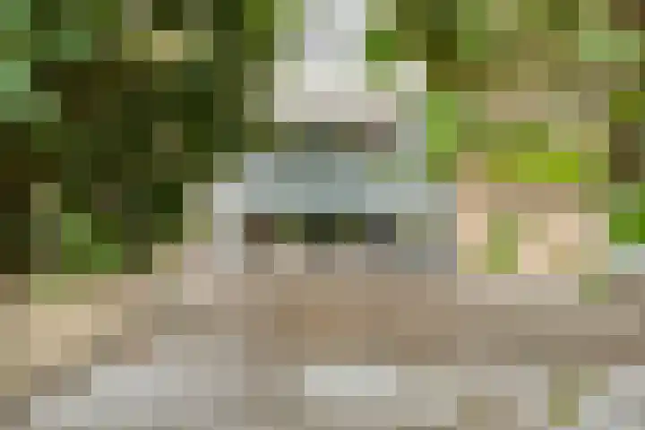 Eendekroos 24 Hardenberg thumbnail 43