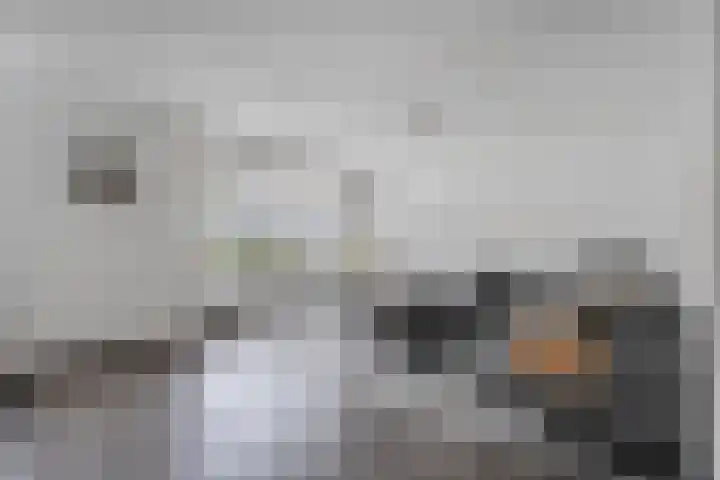 Eendekroos 24 Hardenberg thumbnail 5