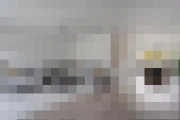 Eendekroos 24 Hardenberg thumbnail 6