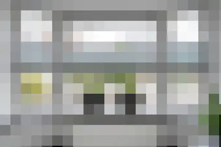 Eendekroos 24 Hardenberg thumbnail 7