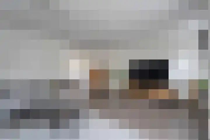 Eendekroos 24 Hardenberg thumbnail 8