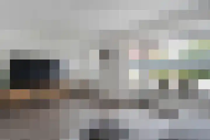 Eendekroos 24 Hardenberg thumbnail 9