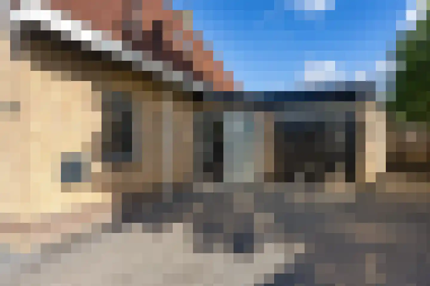 Eendekroos 80 Drachten thumbnail 11