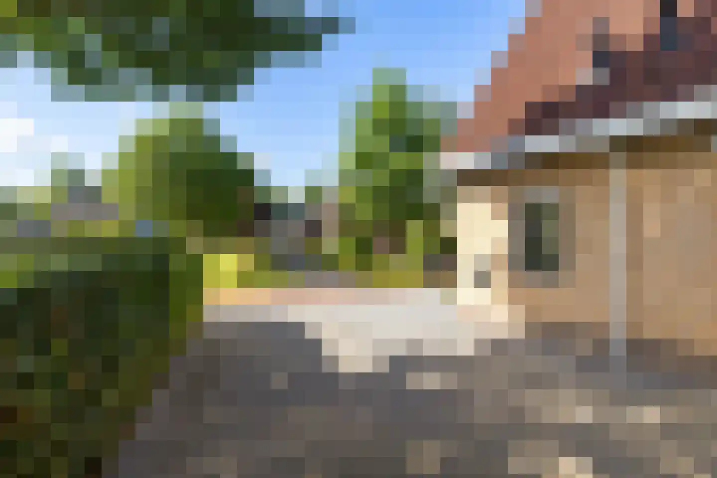 Eendekroos 80 Drachten thumbnail 12