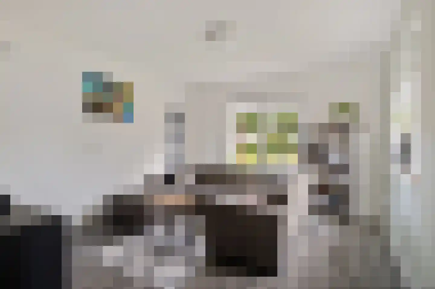 Eendekroos 80 Drachten foto 3