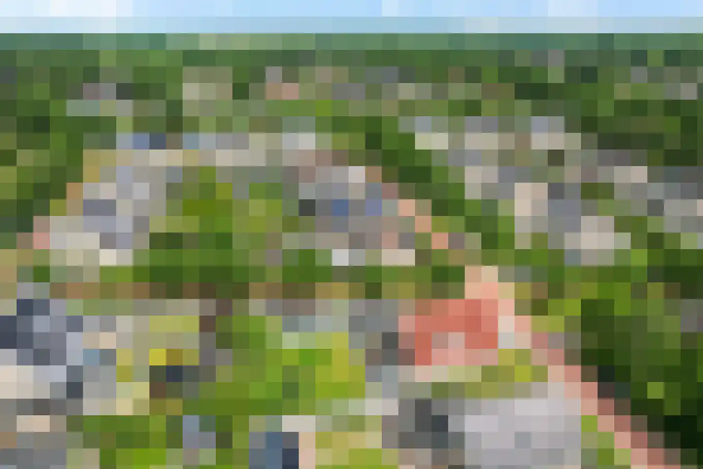 Eendekroos 80 Drachten thumbnail 5